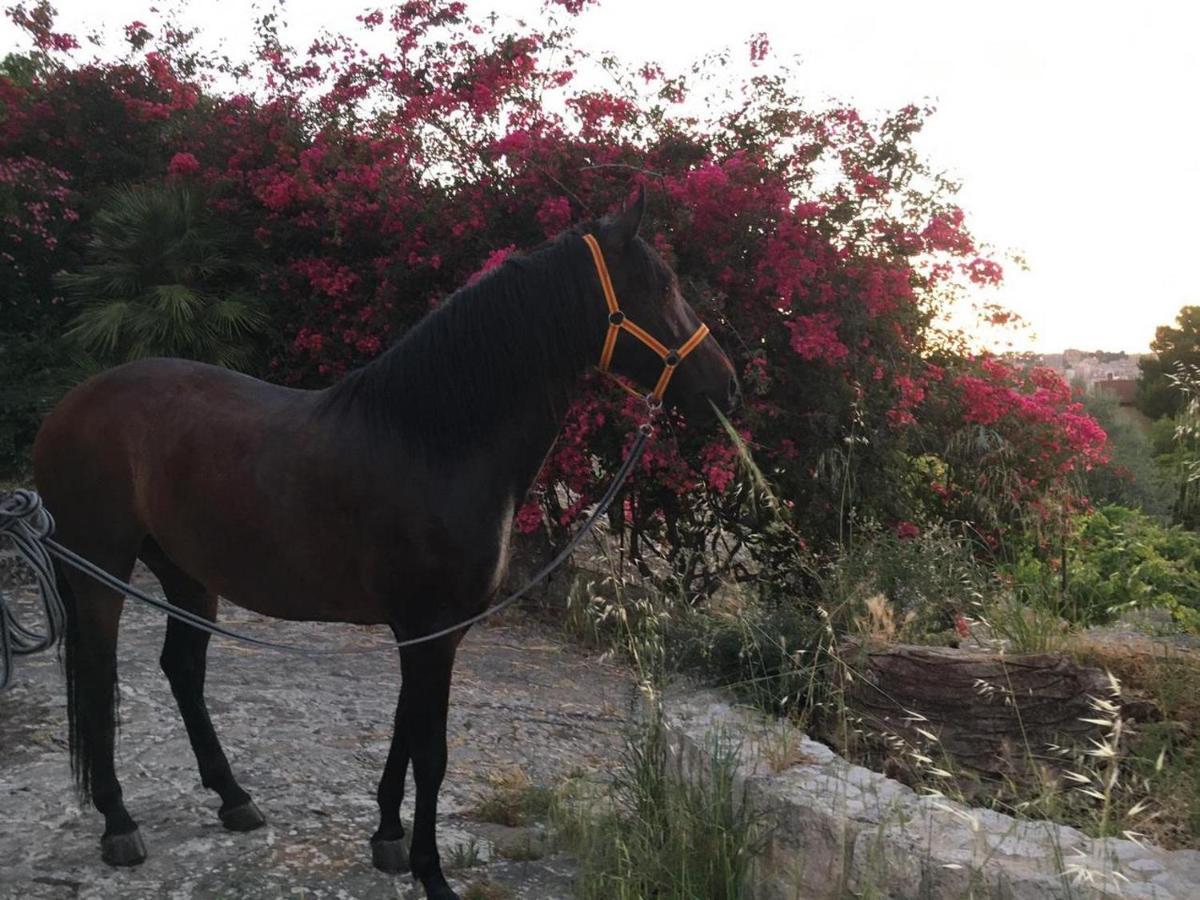 Country Sicily Home ฟาวารา ภายนอก รูปภาพ